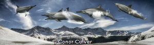 "Open Air Playground" part of my Underwater Surrealism se... by Conor Culver 